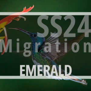 ss24-migration-S686-emerald-album