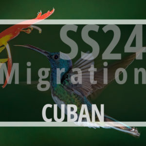 ss24-migration-S687-cuban-album